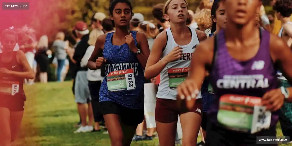 行业领先的理由